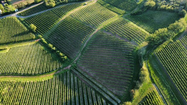 Aerial view of rolling green fields